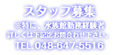 スタッフ募集 ※特に、水族館勤務経験者 詳しくは下記迄お問合わせ下さい。 TEL.048-647-5516