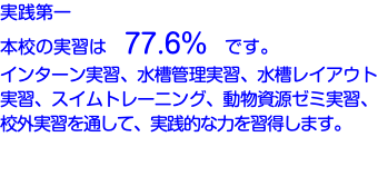 実践第一 本校の実習は　77.6%　です。 インターン実習、水槽管理実習、水槽レイアウト実習、スイムトレーニング、動物資源ゼミ実習、校外実習を通して、実践的な力を習得します。